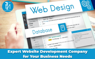 Expert Website Development Company for Your Business Needs