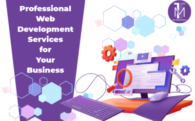 Professional Web Development Services for Your Business