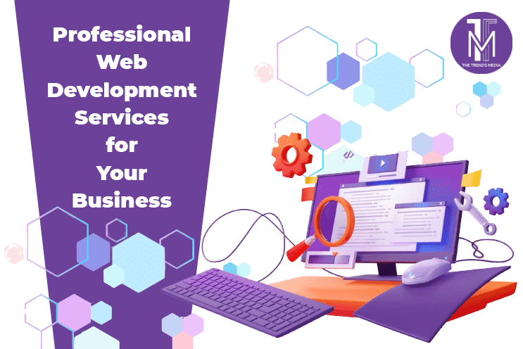 Professional Web Development Services for Your Business
