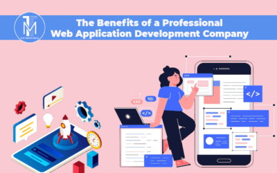 The Benefits of a Professional Web Application Development Company