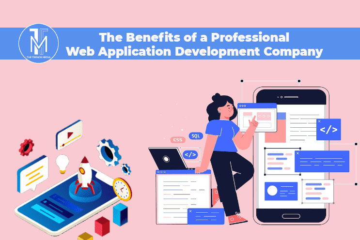 The Benefits of a Professional Web Application Development Company