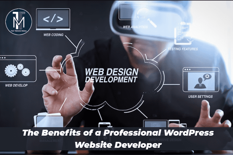 The Benefits of a Professional WordPress Website Developer